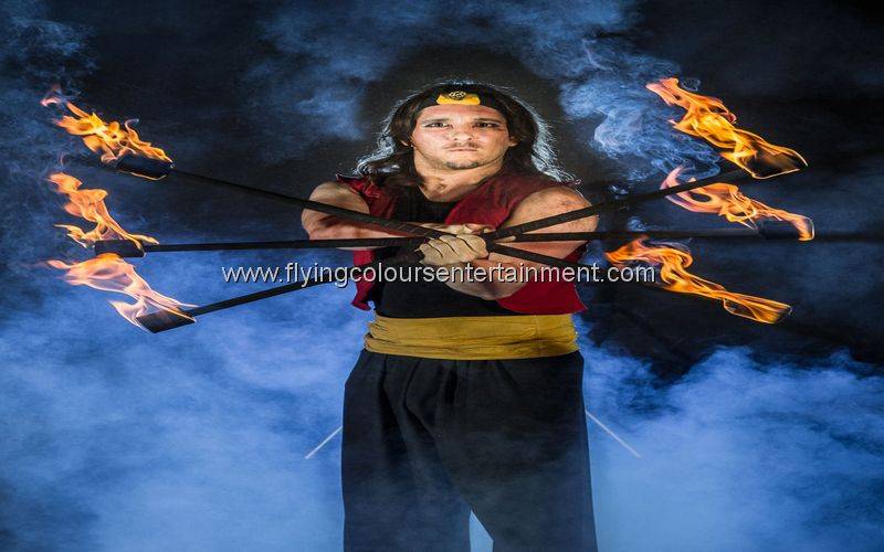Themed Fire Shows