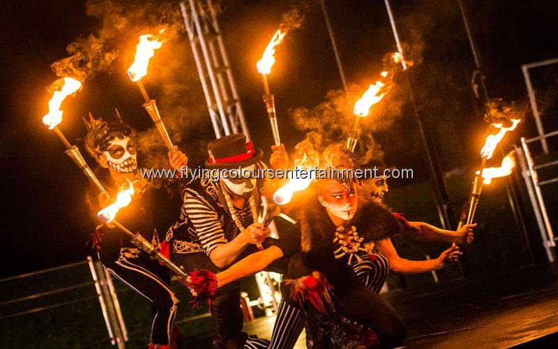 Themed Fire Shows